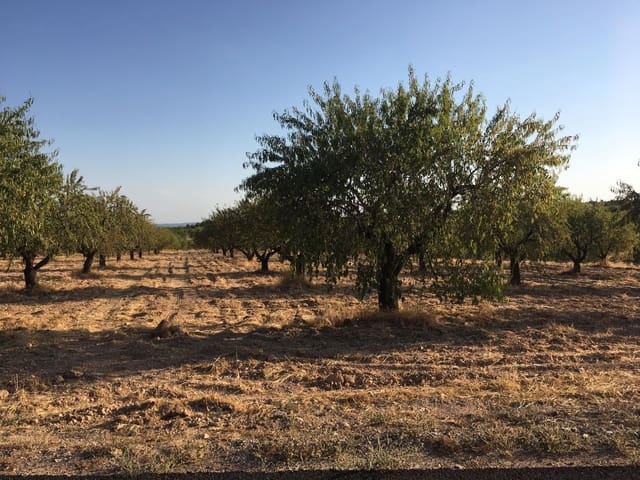 Finca/Hus på landet till salu i Vista Alegre, Murcia stad - 3 500 000 € (Ref: 9494984)