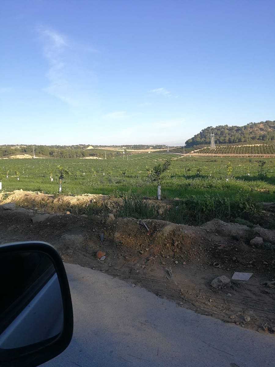 Finca/Country House for sale in Orihuela - € 15,000,000 (Ref: 9494987)