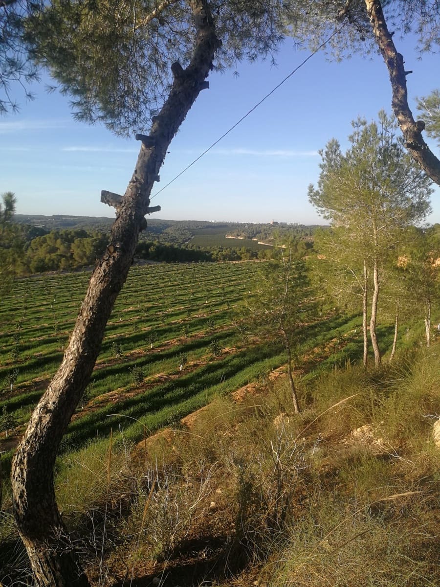 Finca/Country House for sale in Orihuela - € 15,000,000 (Ref: 9494987)