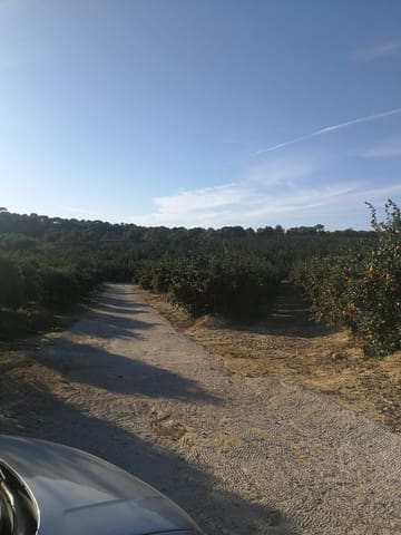 Finca/Landehus til salg i Alicante by - € 3.000.000 (Ref: 9494989)