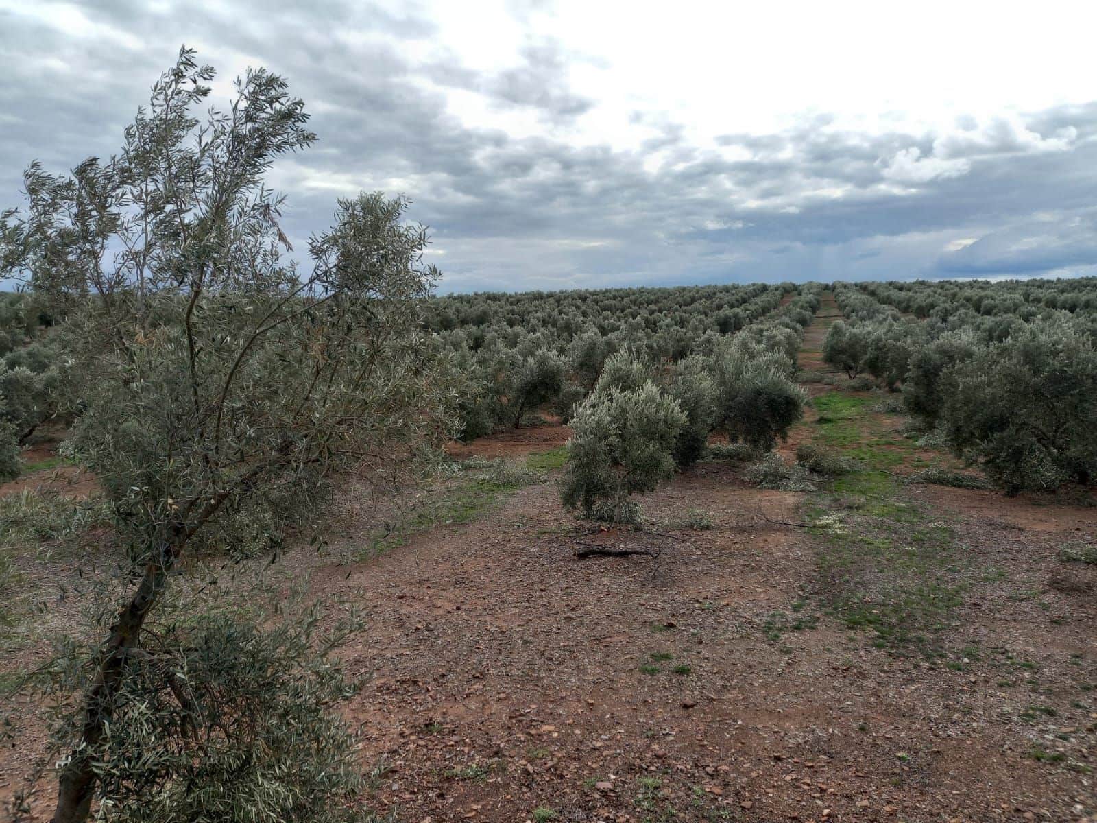 Finca/Country House for sale in Montizon - € 1,300,000 (Ref: 9494990)