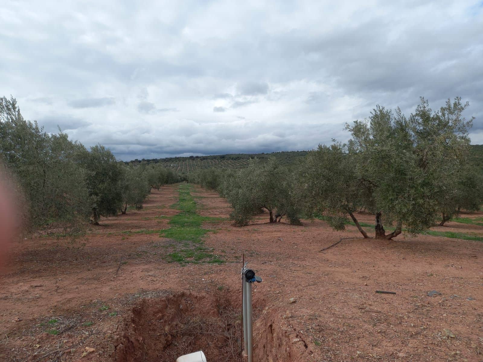 Finca/Country House for sale in Montizon - € 1,300,000 (Ref: 9494990)