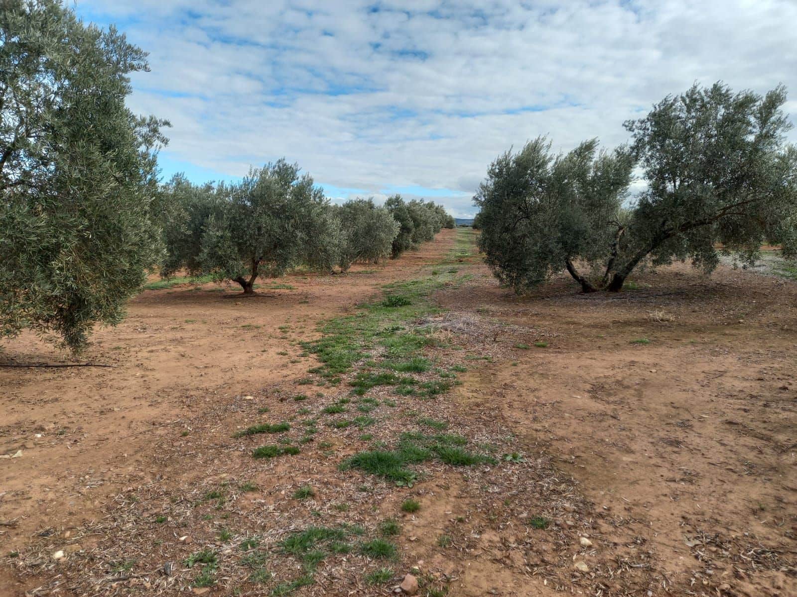 Finca/Country House for sale in Montizon - € 1,300,000 (Ref: 9494990)