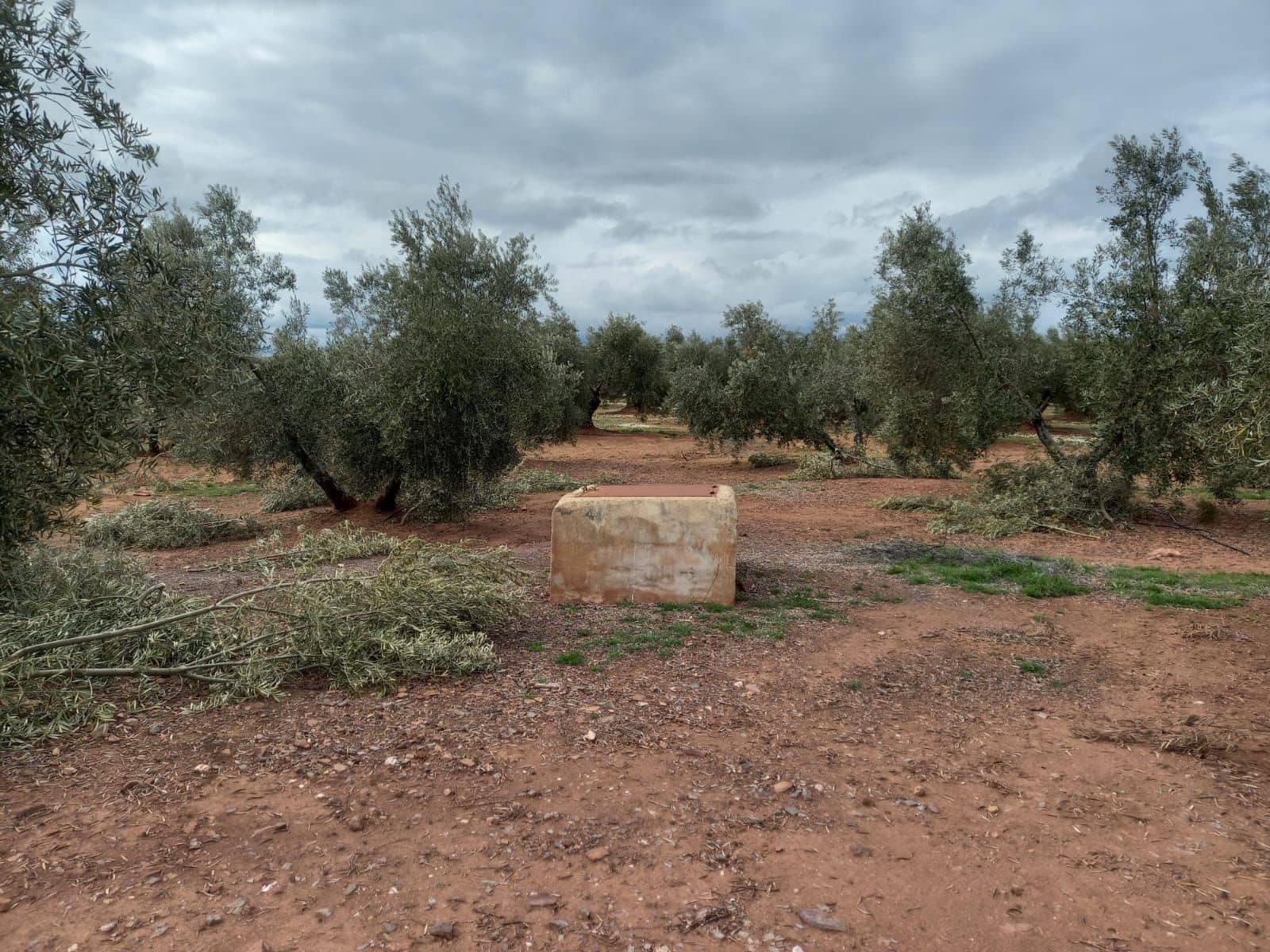 Finca/Country House for sale in Montizon - € 1,300,000 (Ref: 9494990)