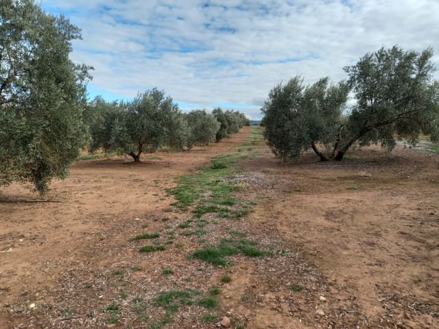 Finca/Country House for sale in Montizón - € 1,300,000 (Ref: 9494990)