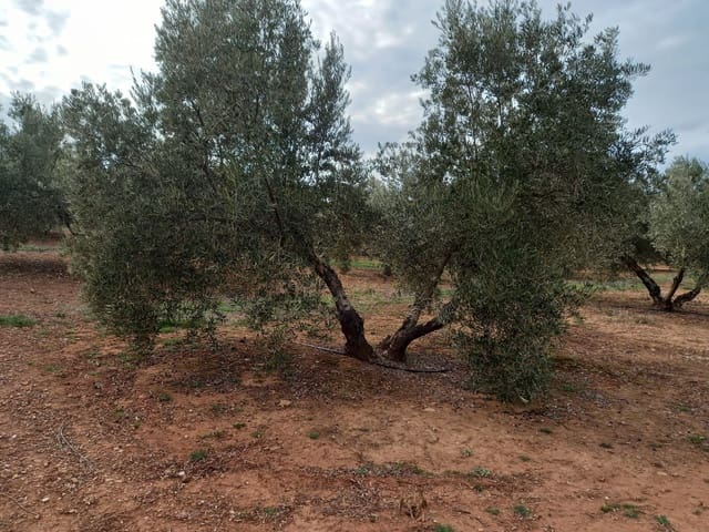 Finca/Country House for sale in Montizón - € 1,300,000 (Ref: 9494990)