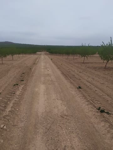 Finca/Casa di Campagna in vendita in Baza - 4.500.000 € (Rif: 9494992)