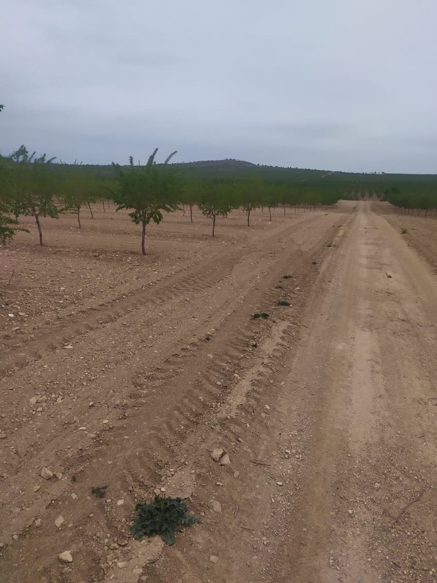 Finca/Country House for sale in Baza - € 4,500,000 (Ref: 9494992)