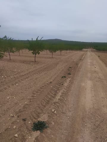 Finca/Casa di Campagna in vendita in Baza - 4.500.000 € (Rif: 9494992)