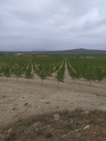 Finca/Casa di Campagna in vendita in Baza - 4.500.000 € (Rif: 9494992)