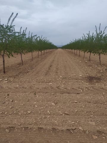 Finca/Casa di Campagna in vendita in Baza - 4.500.000 € (Rif: 9494992)