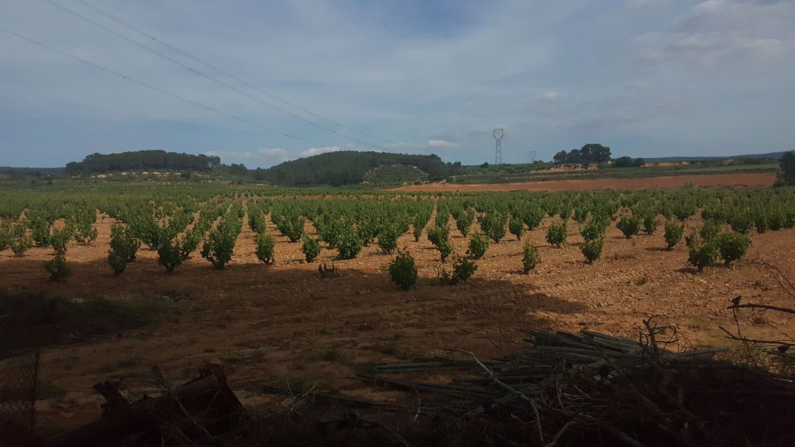 Finca/Landehus til salg i La Font de la Figuera - € 1.200.000 (Ref: 9494993)