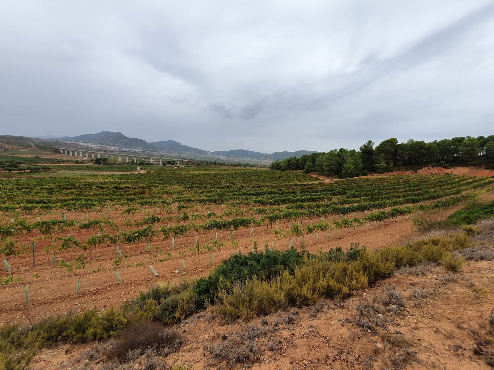 Finca/Landehus til salg i La Font de la Figuera - € 1.200.000 (Ref: 9494993)