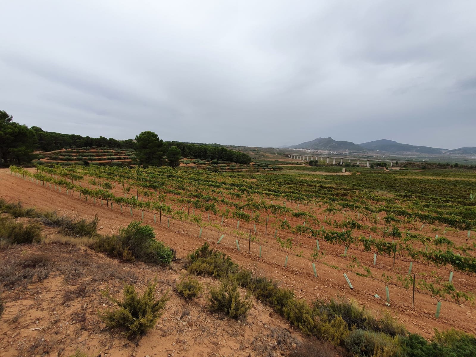 Finca/Landehus til salg i La Font de la Figuera - € 1.200.000 (Ref: 9494993)