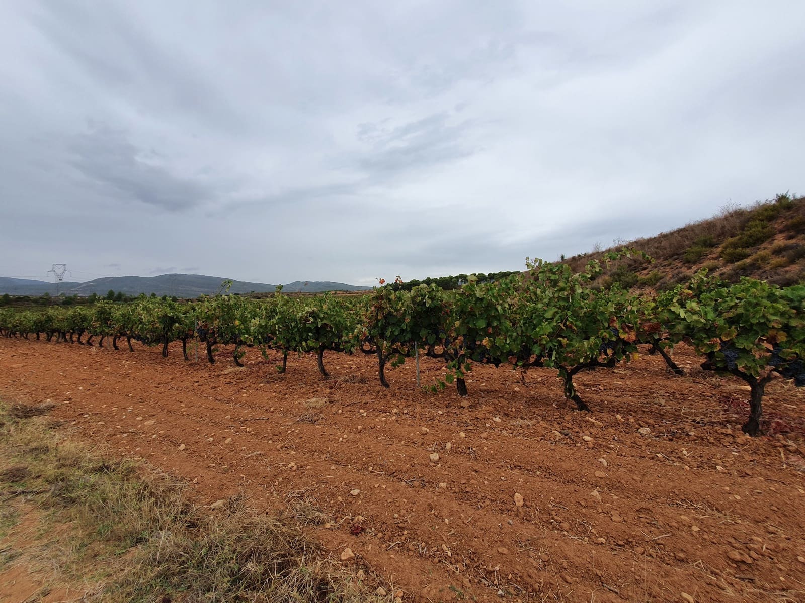 Finca/Landehus til salg i La Font de la Figuera - € 1.200.000 (Ref: 9494993)