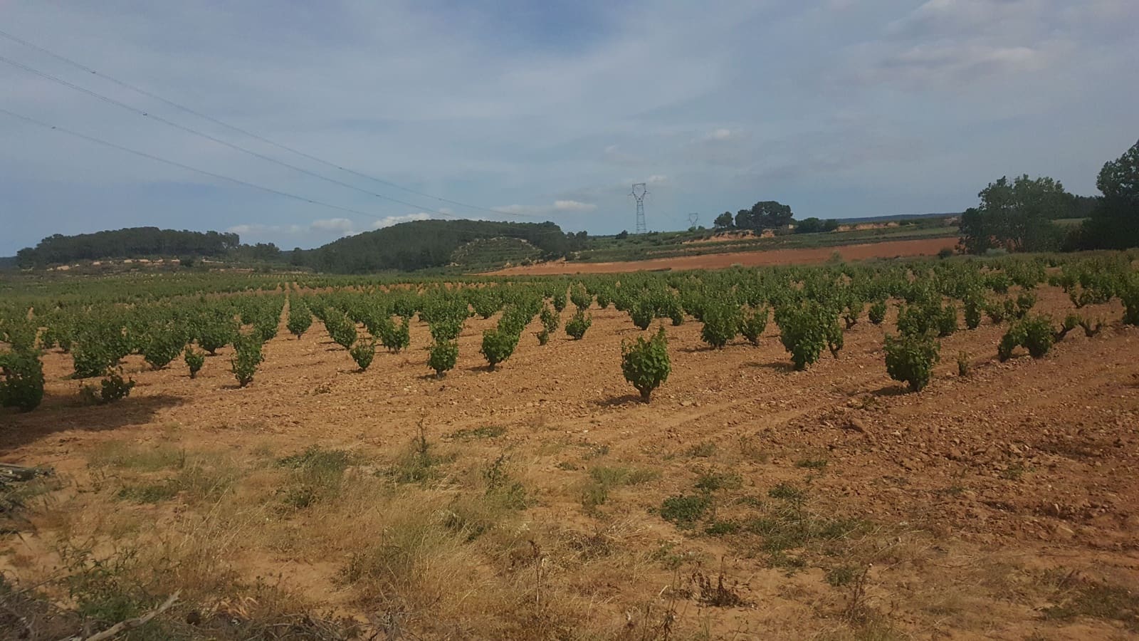 Finca/Landehus til salg i La Font de la Figuera - € 1.200.000 (Ref: 9494993)