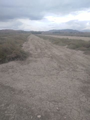 Finca/Landehus til salg i Villena - € 26.000 (Ref: 9494994)