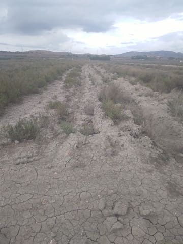 Finca/Landehus til salg i Villena - € 26.000 (Ref: 9494994)