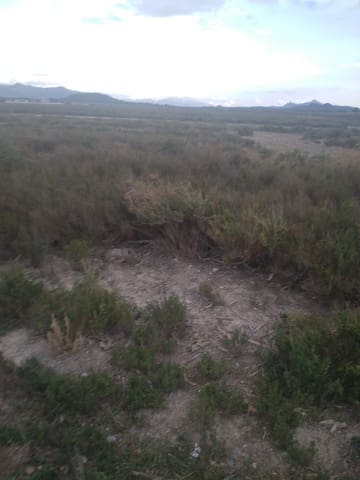 Finca/Landehus til salg i Villena - € 26.000 (Ref: 9494994)