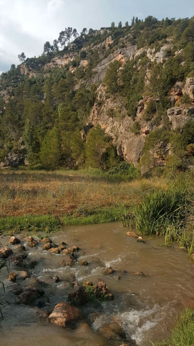 Finca/Country House for sale in Requena - € 295,000 (Ref: 9494995)