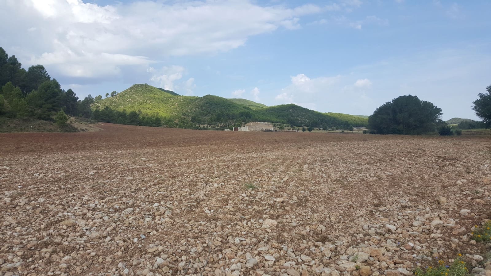 Finca/Country House for sale in Requena - € 295,000 (Ref: 9494995)