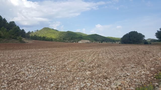 Finca/Country House for sale in Requena - € 295,000 (Ref: 9494995)