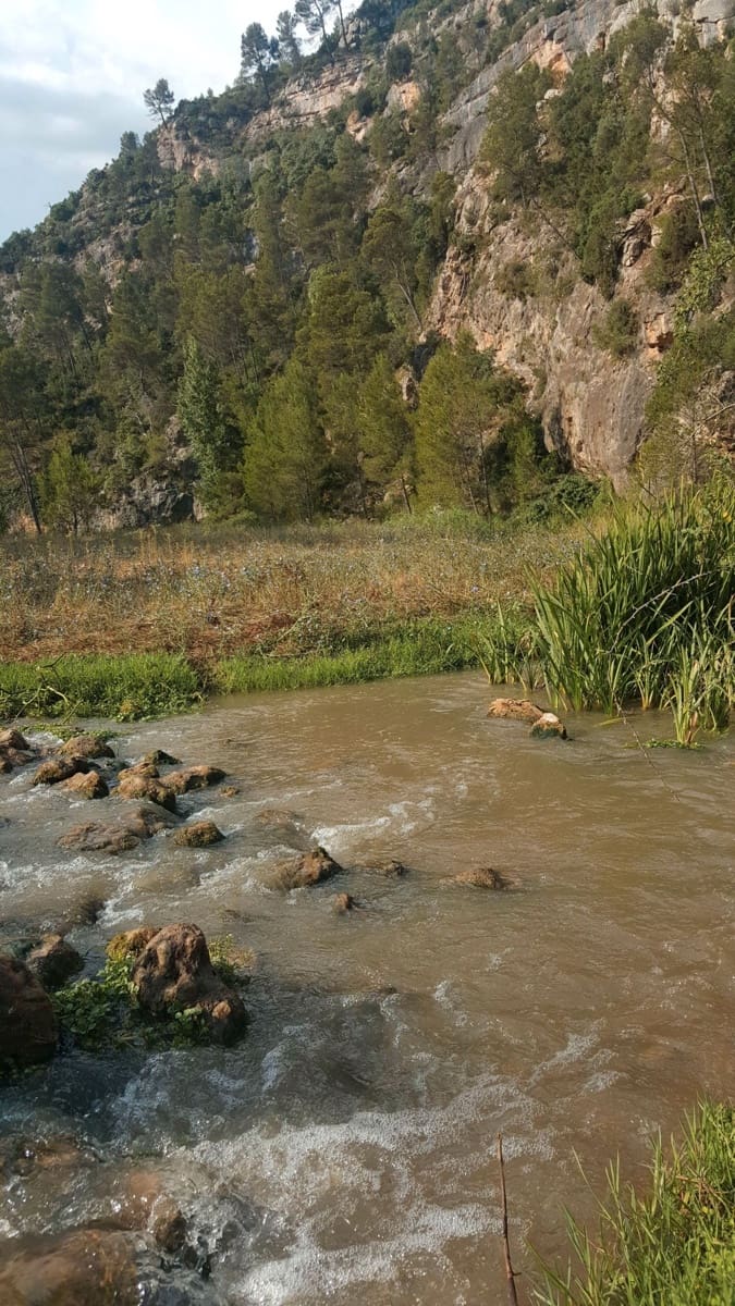 Finca/Country House for sale in Requena - € 295,000 (Ref: 9494995)