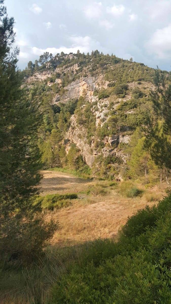 Finca/Country House for sale in Requena - € 295,000 (Ref: 9494995)