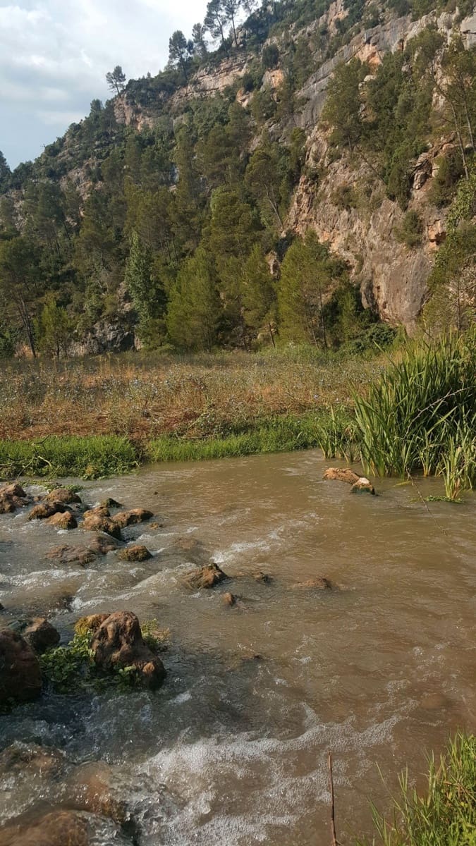 Finca/Country House for sale in Requena - € 295,000 (Ref: 9494995)