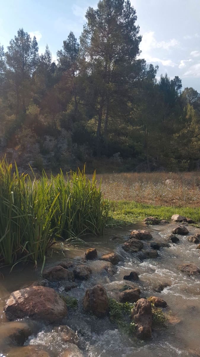 Finca/Country House for sale in Requena - € 295,000 (Ref: 9494995)