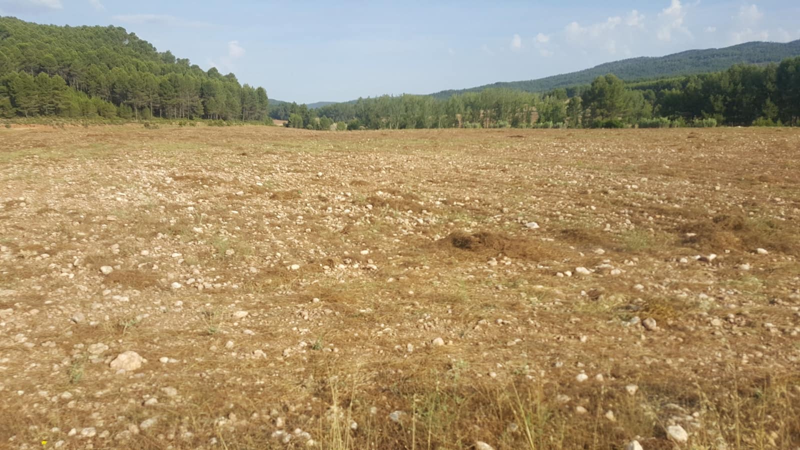 Finca/Country House for sale in Requena - € 295,000 (Ref: 9494995)