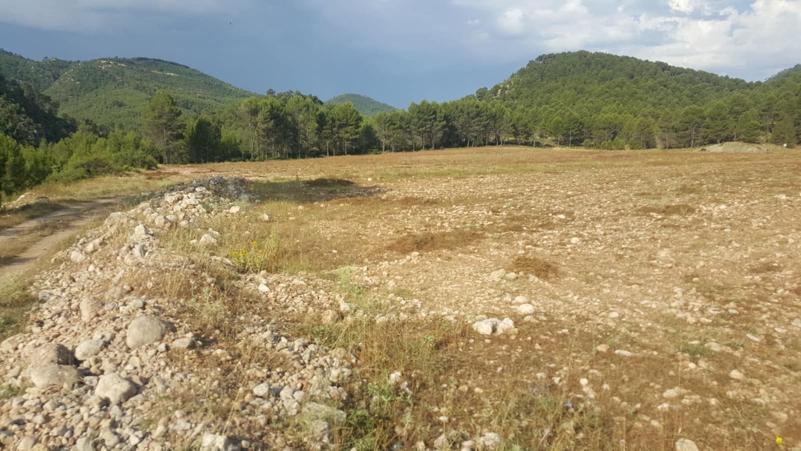 Finca/Country House for sale in Requena - € 295,000 (Ref: 9494995)