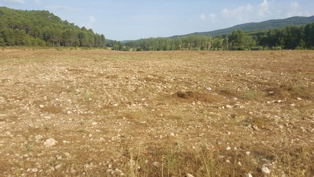 Finca/Country House for sale in Requena - € 295,000 (Ref: 9494995)