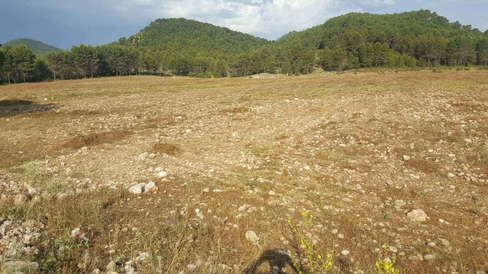 Finca/Country House for sale in Requena - € 295,000 (Ref: 9494995)