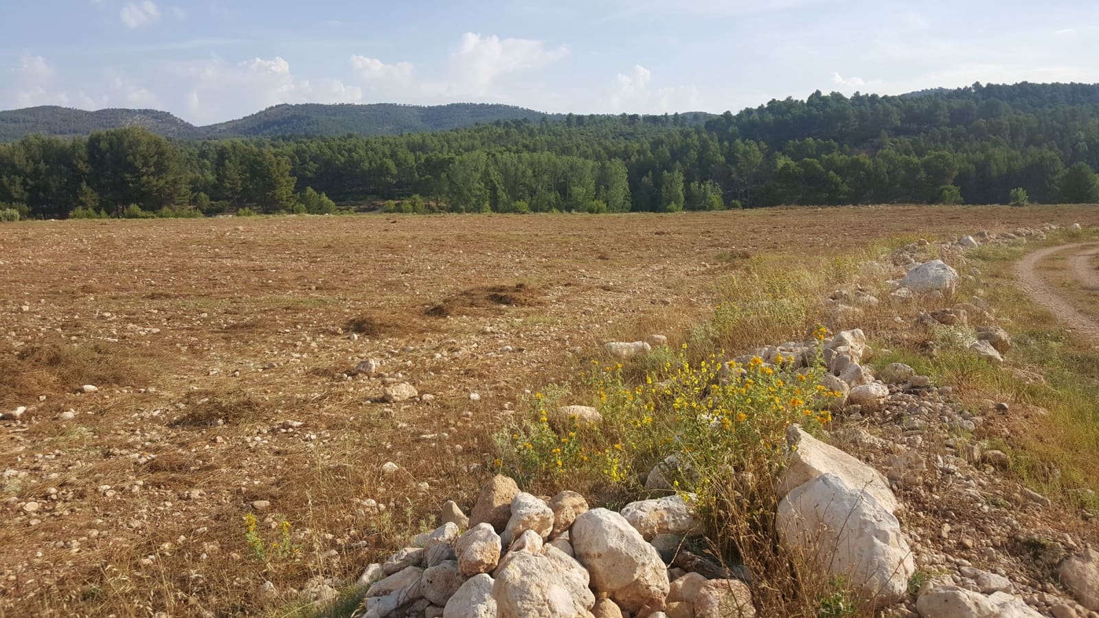 Finca/Country House for sale in Requena - € 295,000 (Ref: 9494995)