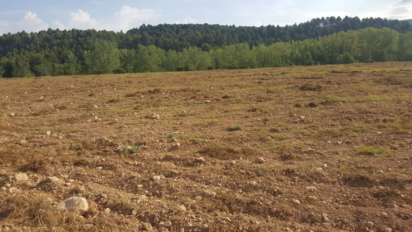 Finca/Country House for sale in Requena - € 295,000 (Ref: 9494995)