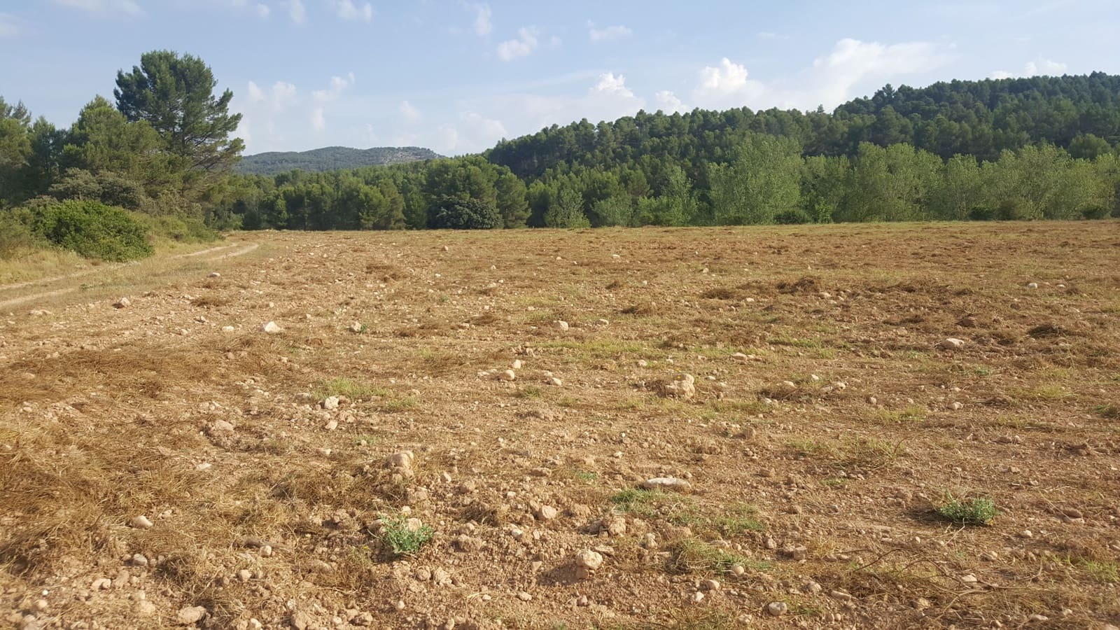 Finca/Country House for sale in Requena - € 295,000 (Ref: 9494995)