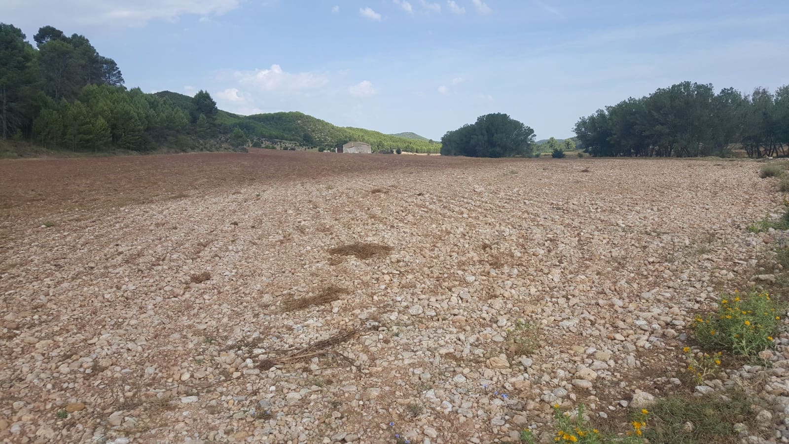 Finca/Country House for sale in Requena - € 295,000 (Ref: 9494995)