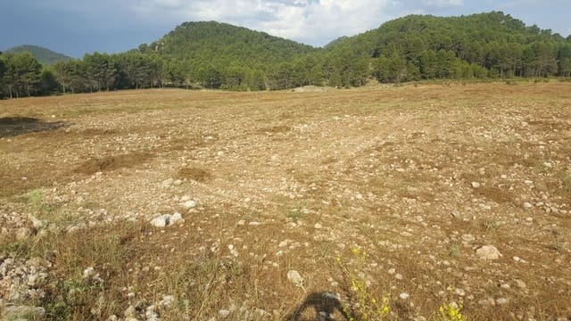 Finca/Country House for sale in Requena - € 295,000 (Ref: 9494995)