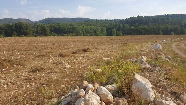 Finca/Country House for sale in Requena - € 295,000 (Ref: 9494995)