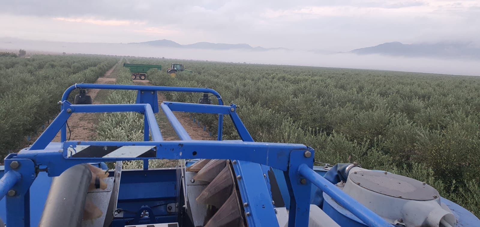 Finca/Country House for sale in Yecla - € 55,000 (Ref: 9494996)