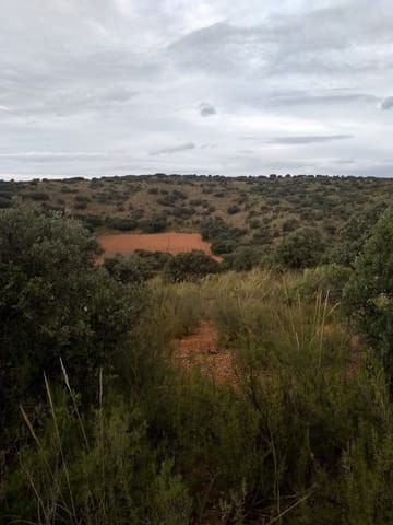 Finka/Dom wiejski na sprzedaż w Pedanías, Miasto Albacete - 14 000 000 € (Ref: 9494997)