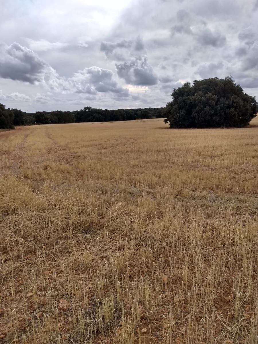 Finka/Dom wiejski na sprzedaż w Miasto Albacete - 14 000 000 € (Ref: 9494997)