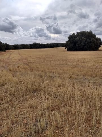 Finka/Dom wiejski na sprzedaż w Pedanías, Miasto Albacete - 14 000 000 € (Ref: 9494997)