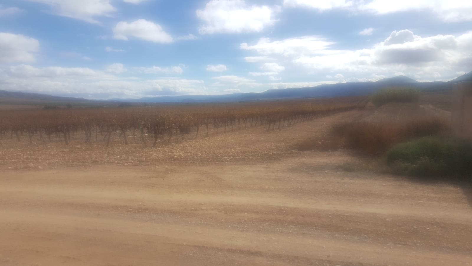 Finca/Country House for sale in Yecla - € 3,000,000 (Ref: 9494998)