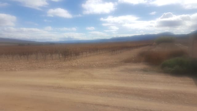 Quinta/Casa Rural para venda em Yecla - 3 000 000 € (Ref: 9494998)