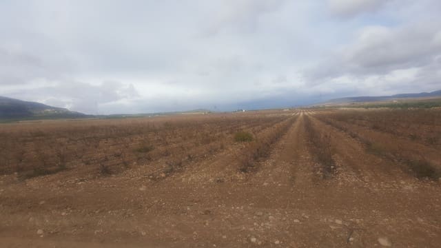 Quinta/Casa Rural para venda em Yecla - 3 000 000 € (Ref: 9494998)