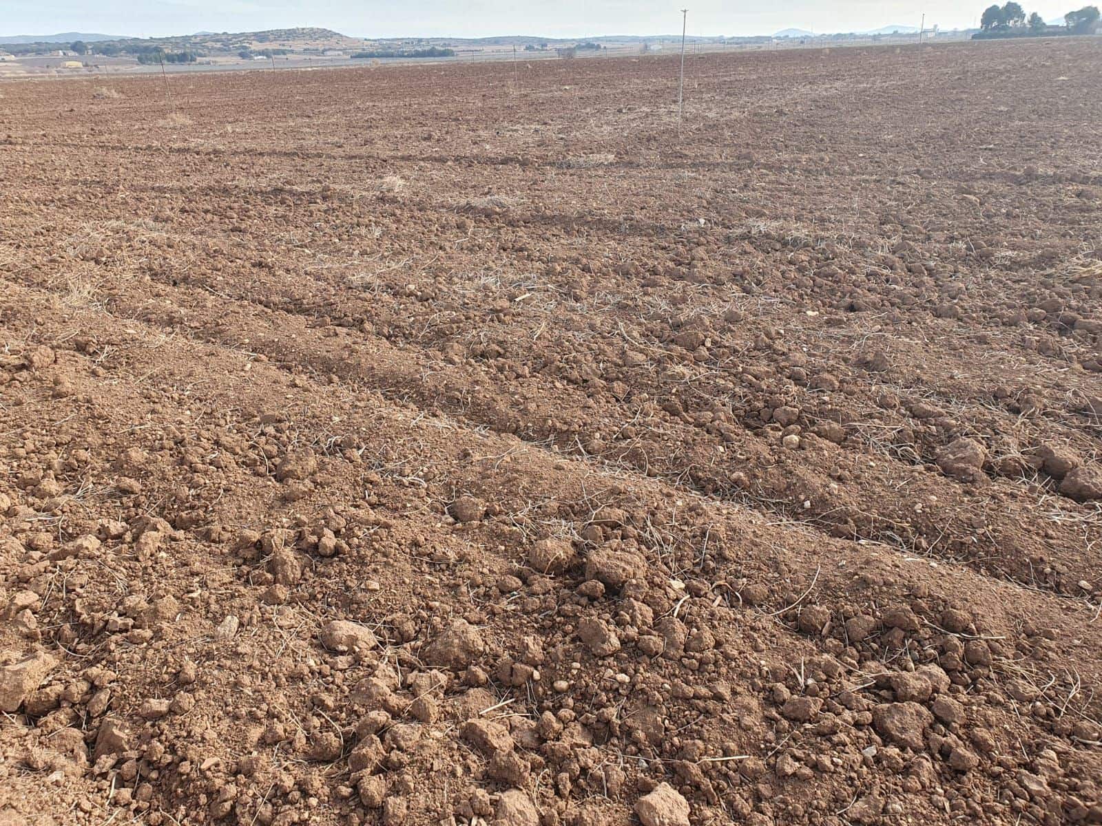 Finca/Country House for sale in Elche / Elx - € 600,000 (Ref: 9494999)