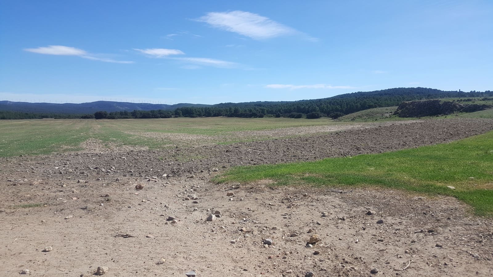 Undeveloped Land for sale in Pinoso - € 3,500,000 (Ref: 9495000)