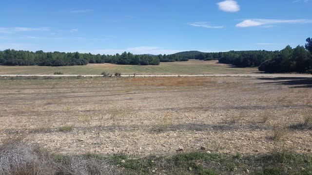 Terreno/Finca Rústica en Pinoso en venta - 3.500.000 € (Ref: 9495000)